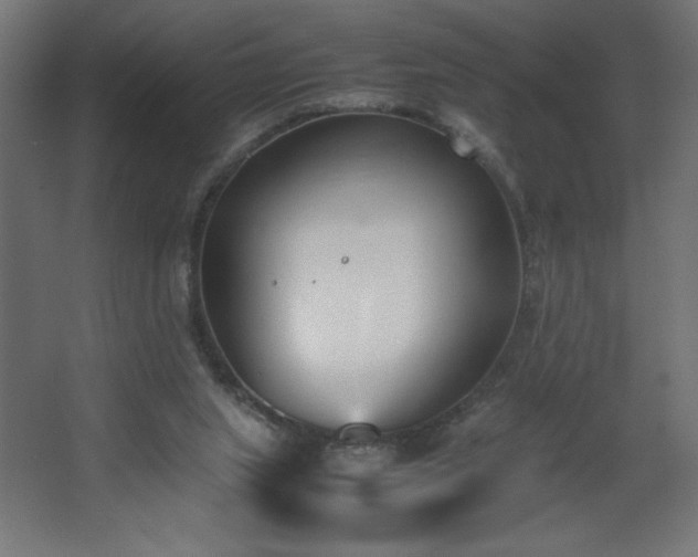 X0000067830063200604201226