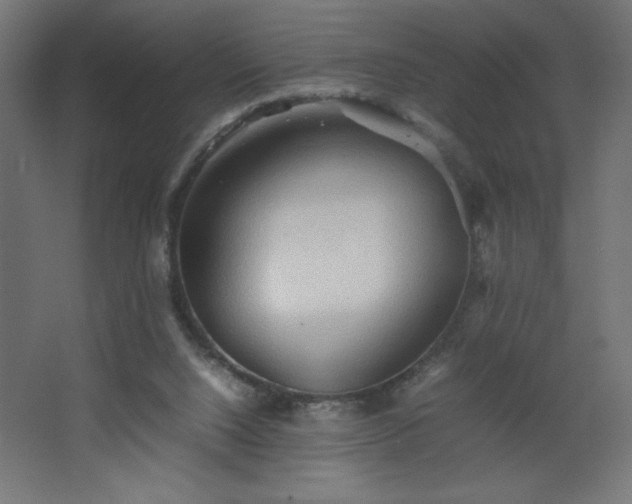 X0000067830064200604201226