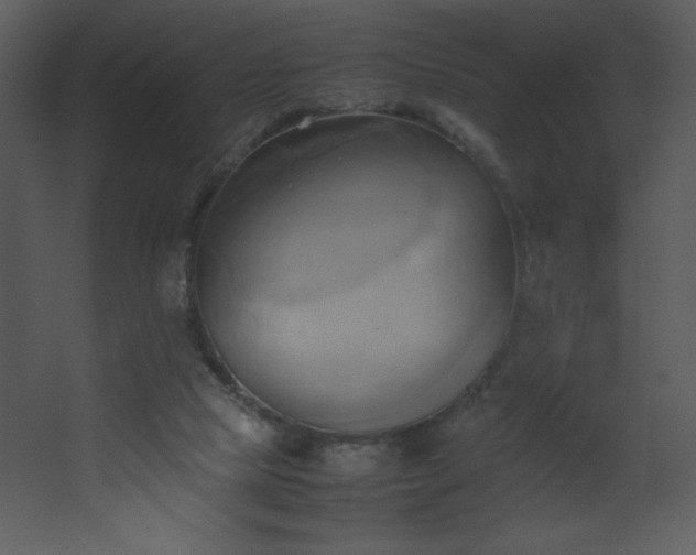 X0000067830065200604201226