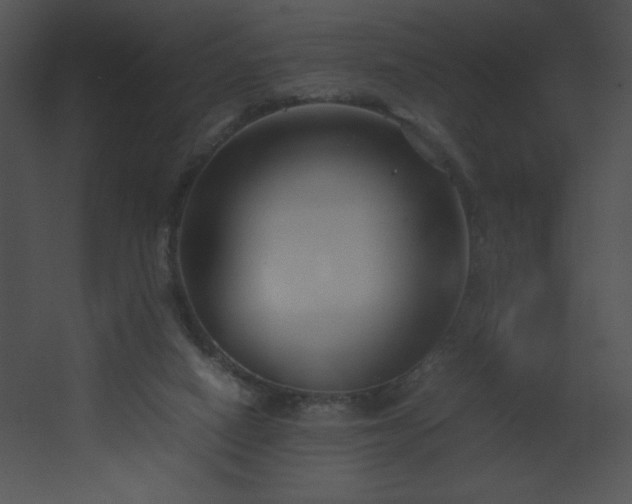 X0000067830066200604201226