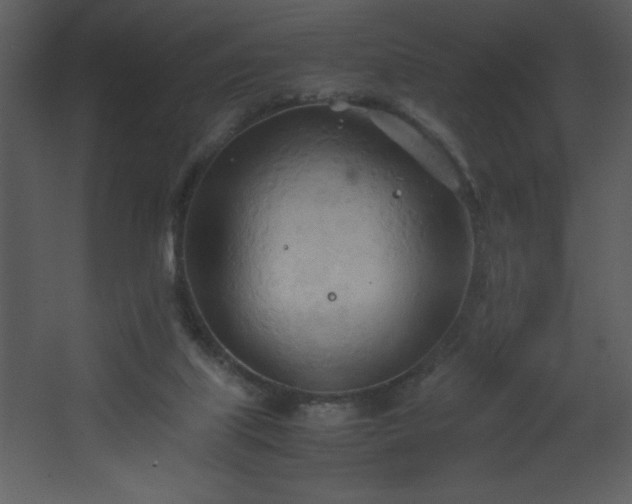 X0000067830067200604201226