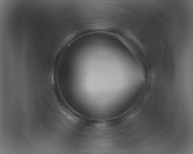 X0000067830068200604201226