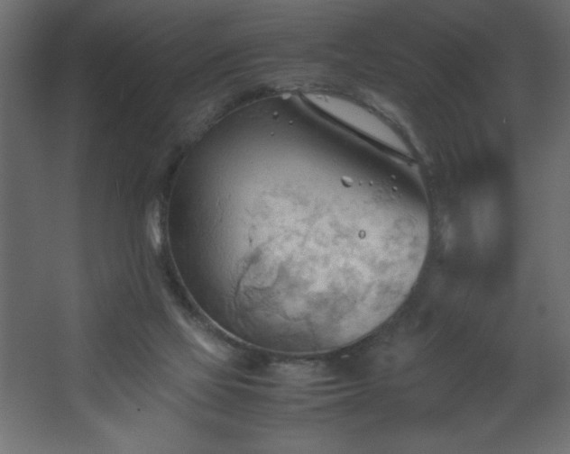 X0000067830069200604201226