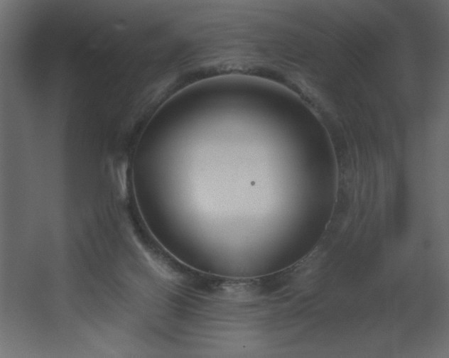 X0000067830070200604201226