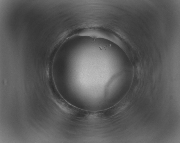 X0000067830072200604201226