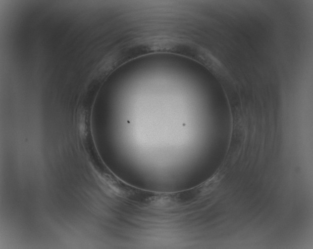 X0000067830074200604201226