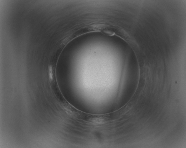 X0000067830075200604201226