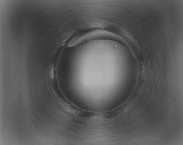 X0000067830076200604201226