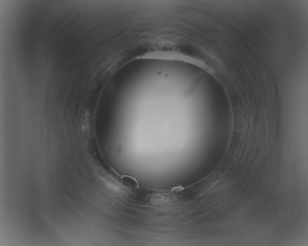 X0000067830077200604201226