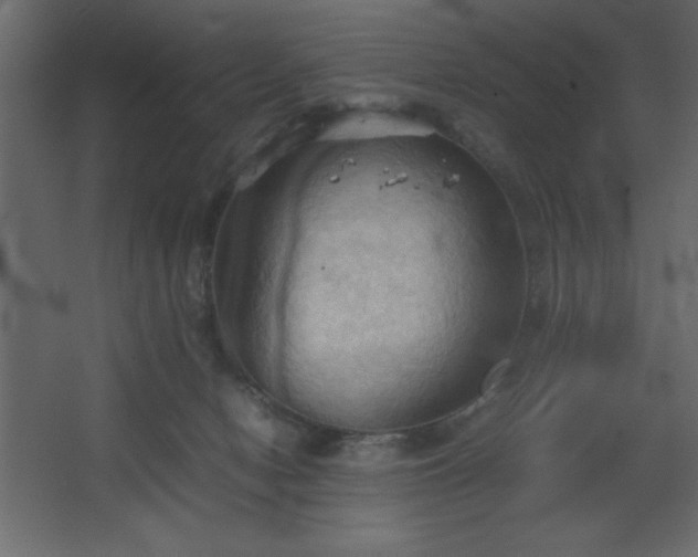 X0000067830078200604201226