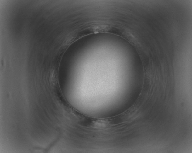 X0000067830079200604201226