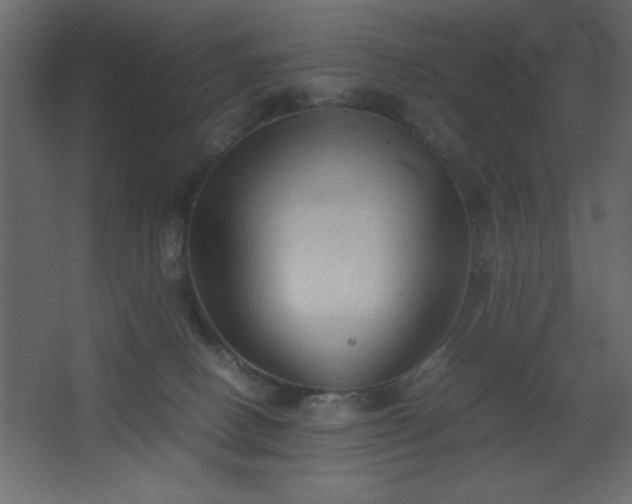 X0000067830082200604201226