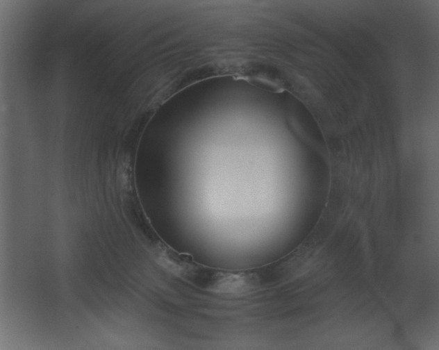 X0000067830083200604201226