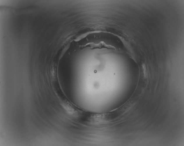 X0000067830084200604201226