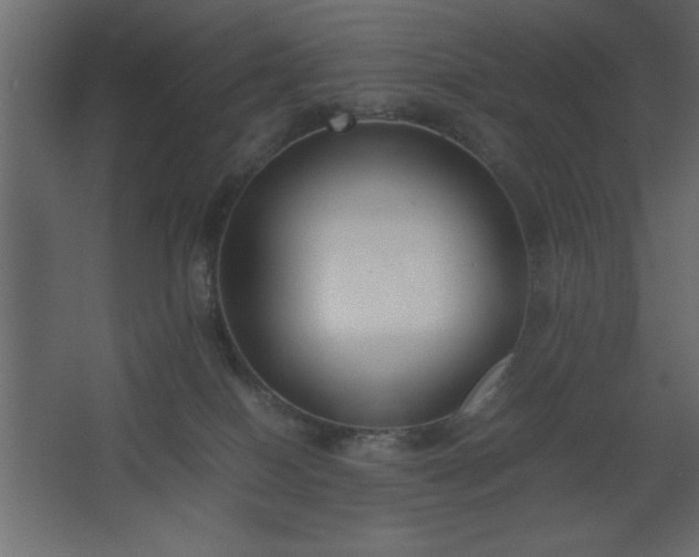 X0000067830086200604201226