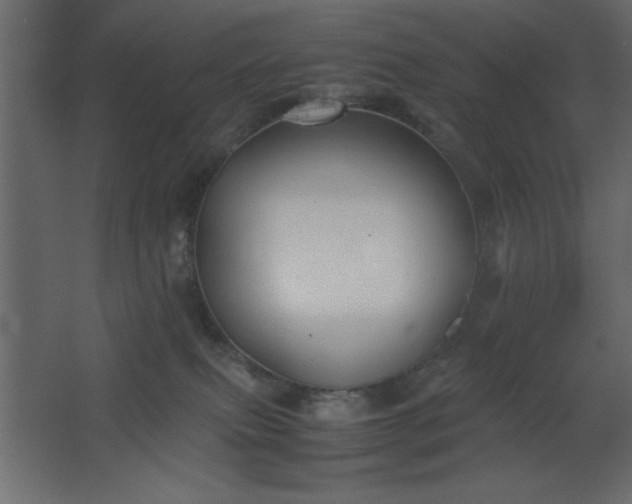 X0000067830087200604201227