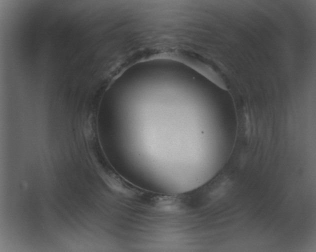 X0000067830088200604201227