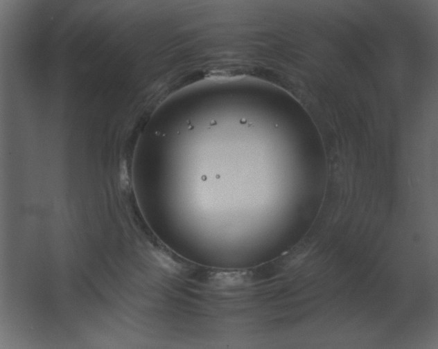 X0000067830089200604201227