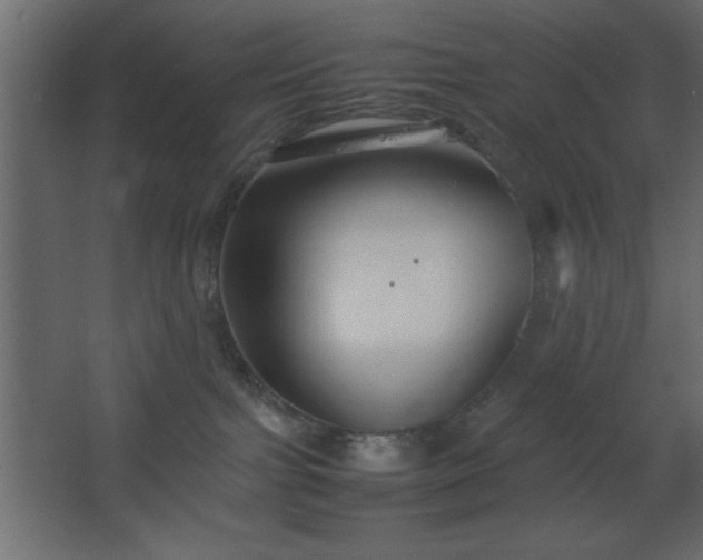 X0000067830091200604201227