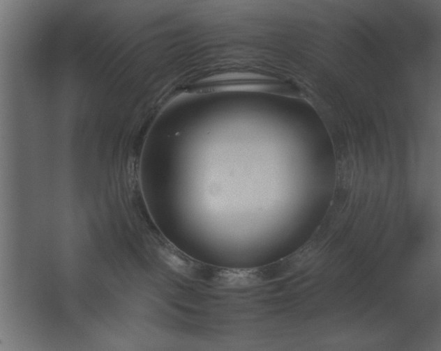 X0000067830093200604201227