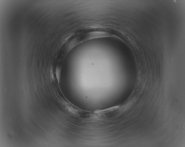 X0000067830096200604201227