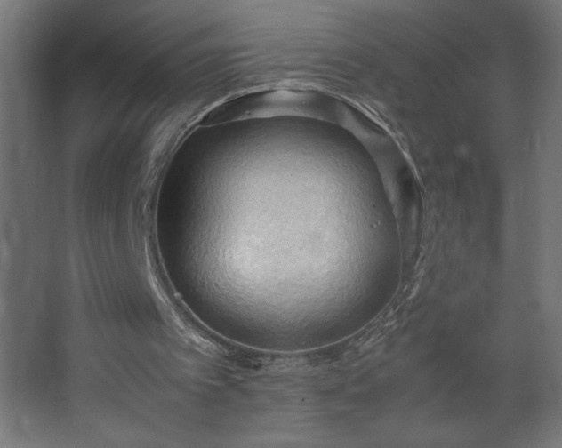 X0000067830097200604201226