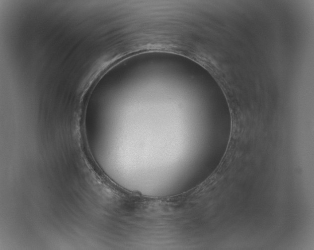 X0000067830098200604201226