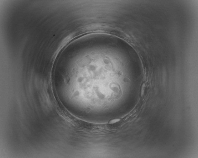 X0000067830099200604201226