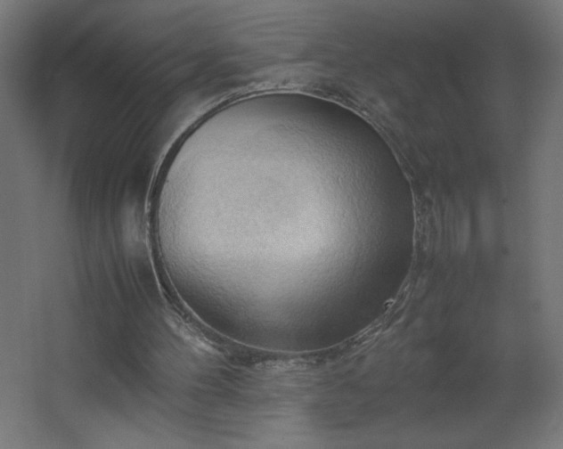 X0000067830100200604201226