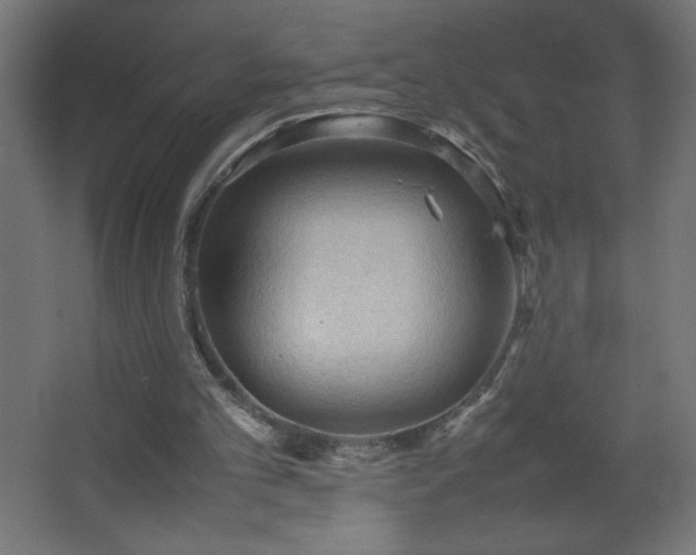 X0000067830101200604201226