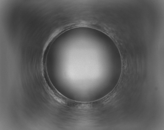 X0000067830102200604201226