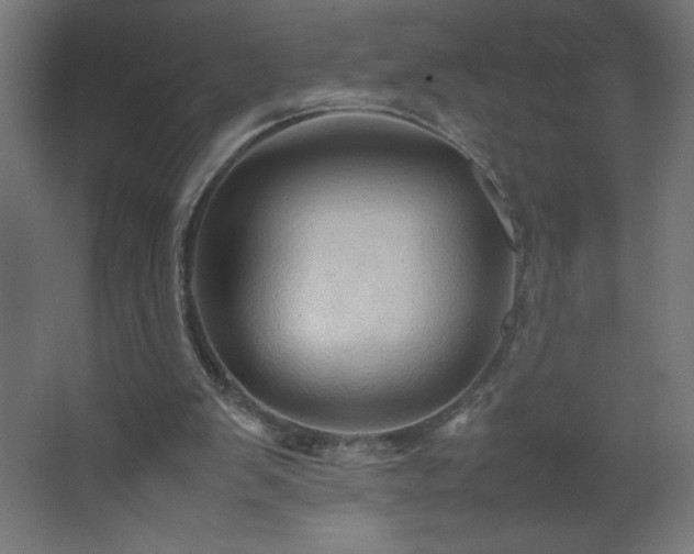 X0000067830103200604201226