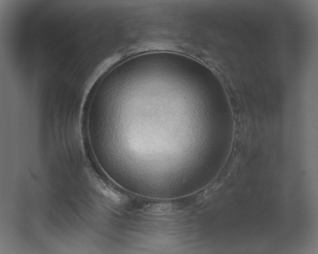 X0000067830104200604201226