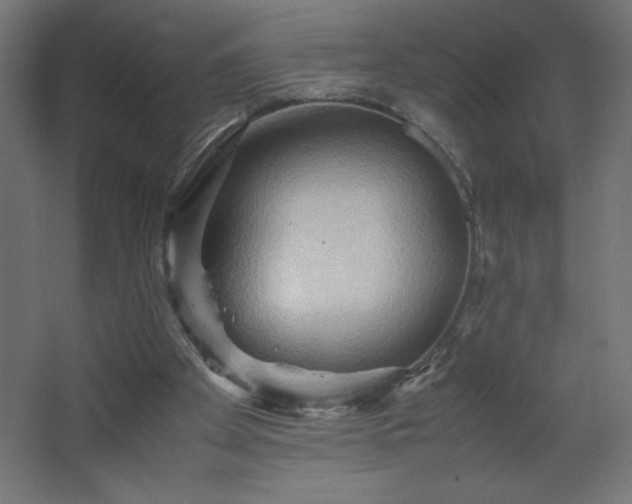 X0000067830105200604201226