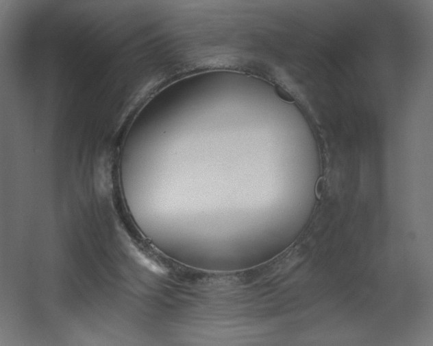 X0000067830106200604201226