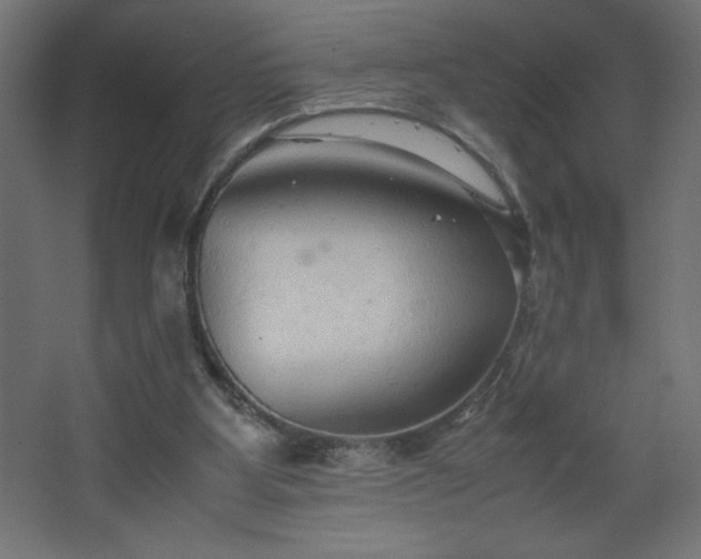 X0000067830107200604201226