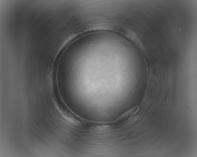 X0000067830108200604201226