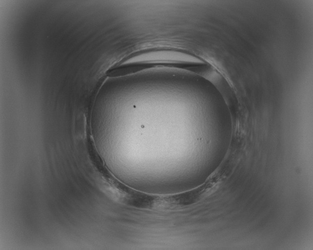 X0000067830109200604201226