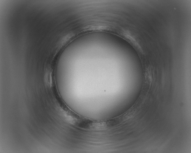 X0000067830110200604201226