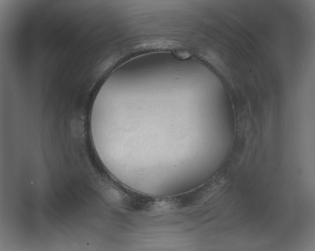 X0000067830111200604201226