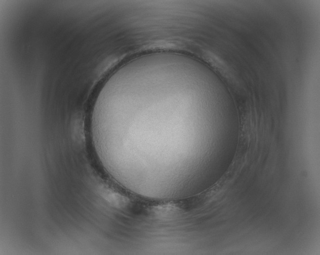 X0000067830112200604201226