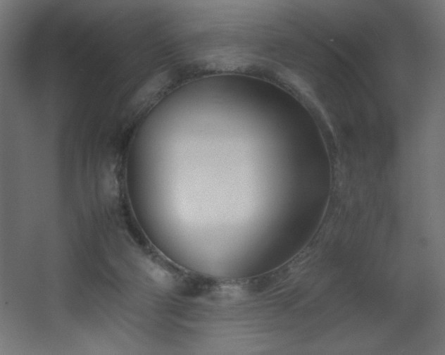 X0000067830114200604201226