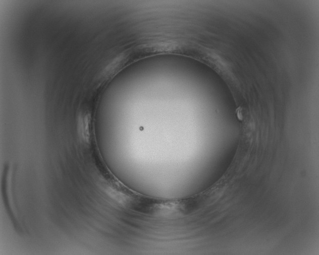 X0000067830118200604201225