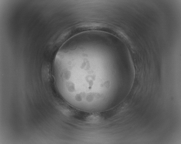 X0000067830119200604201225