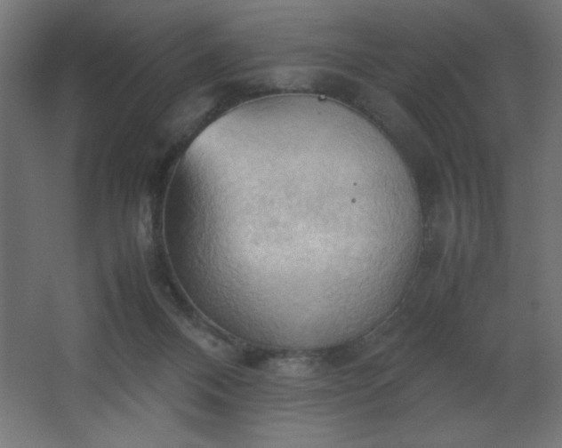 X0000067830120200604201225