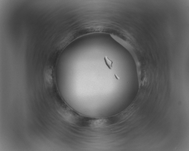 X0000067830122200604201225