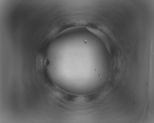 X0000067830123200604201225