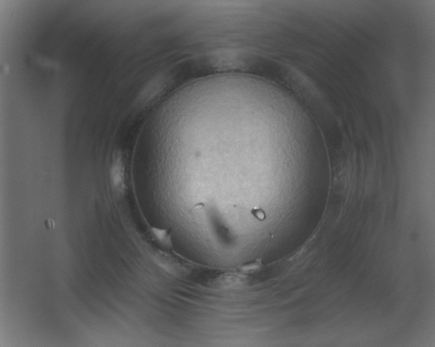 X0000067830124200604201225