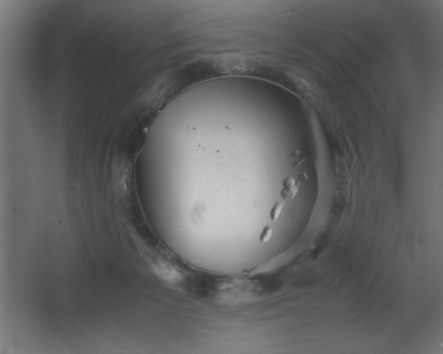 X0000067830125200604201225