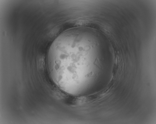 X0000067830127200604201225